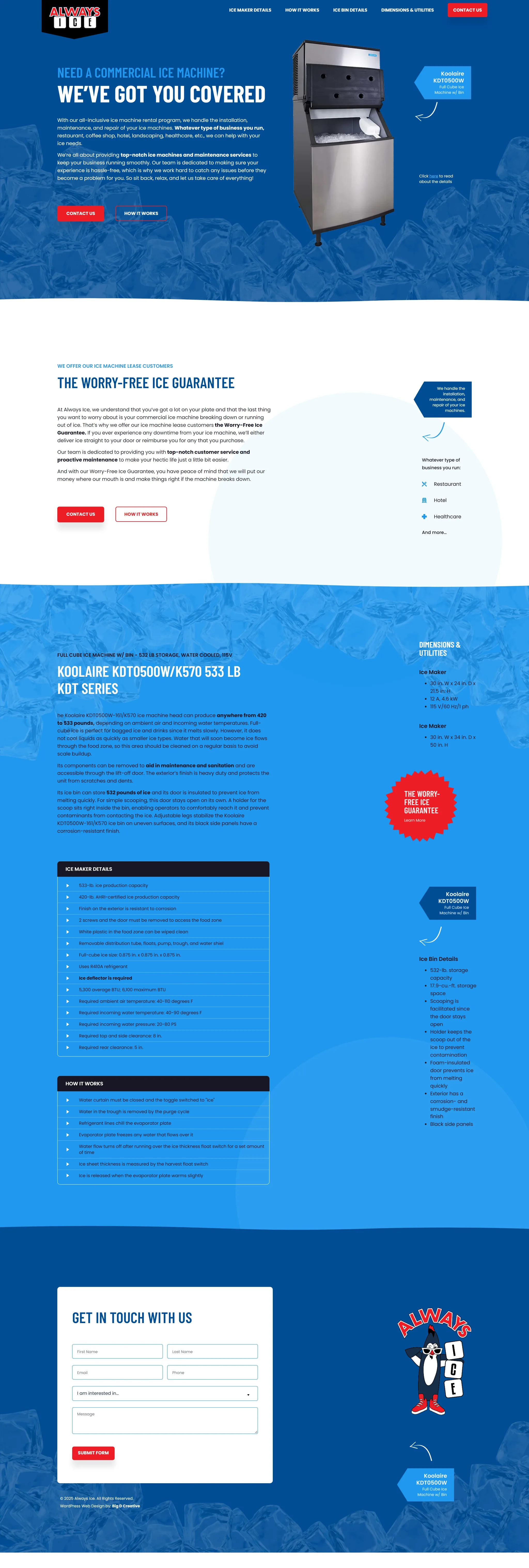 Always Ice website, Home page